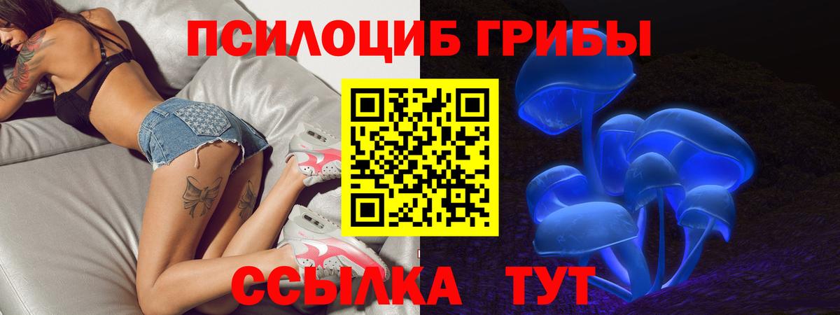 Балашиха  Галлюциногенные грибы ЛСД  Вход с VPN 